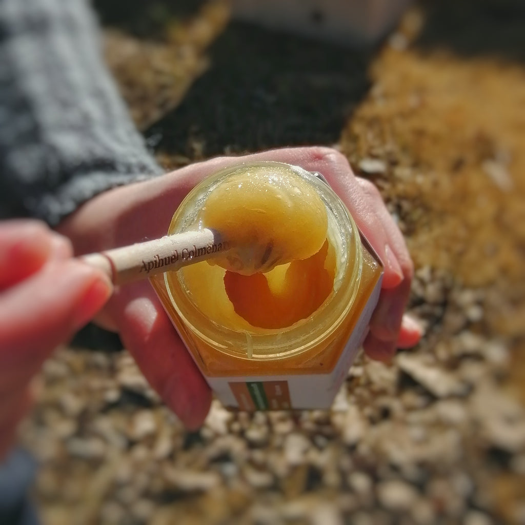 Pack 3 frascos Miel de Ulmo 225 grs