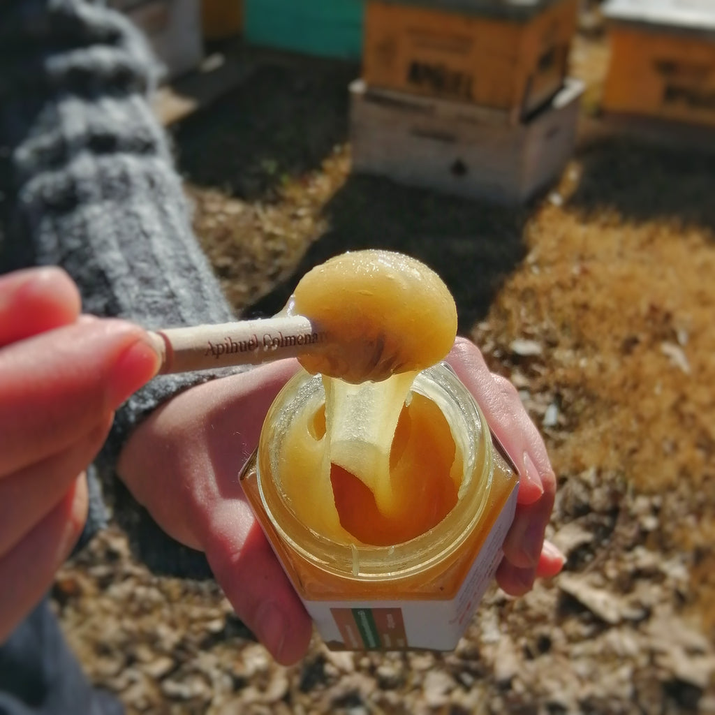 Miel de Ulmo 225 grs