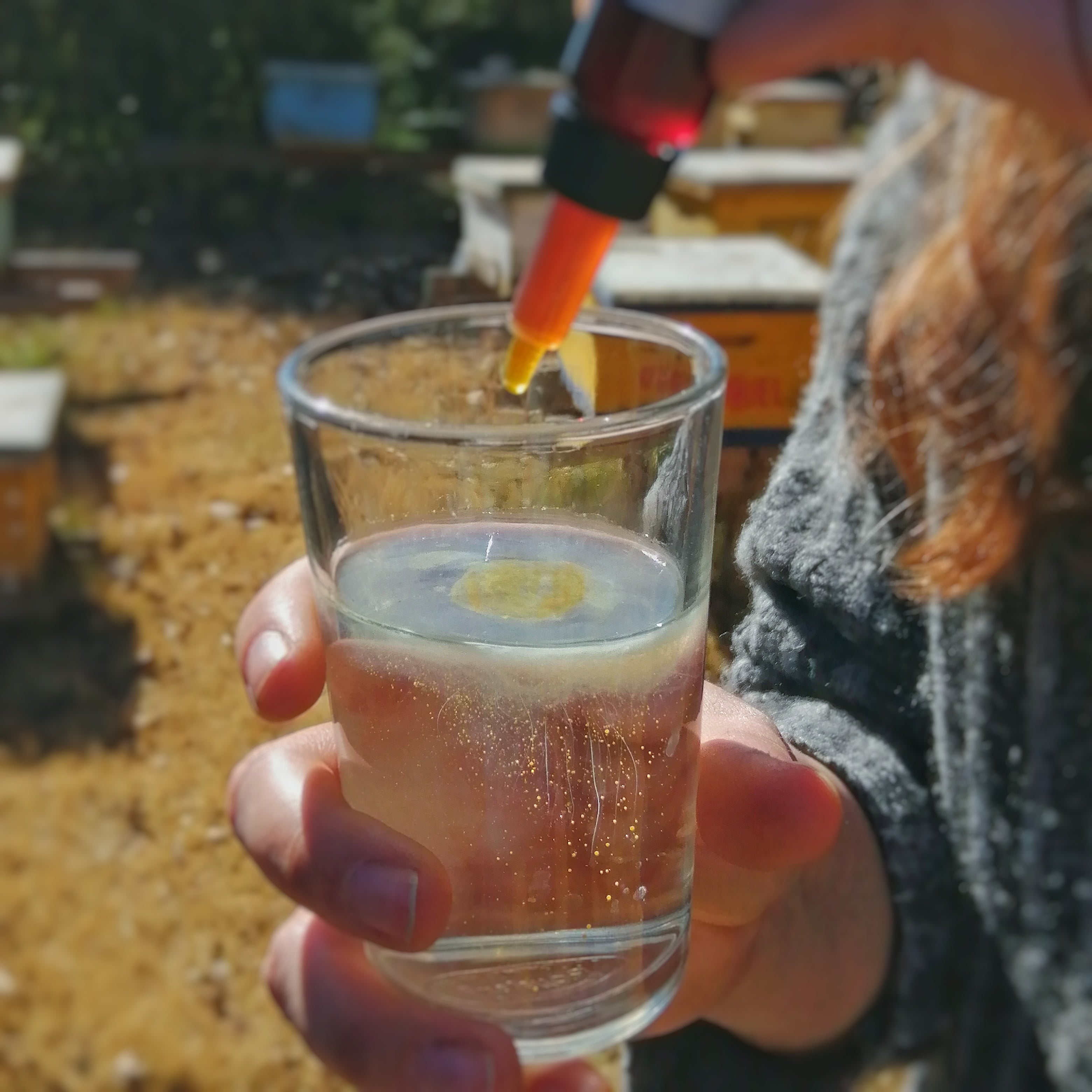 Propóleo Tintura Madre, extra fuerte 30%