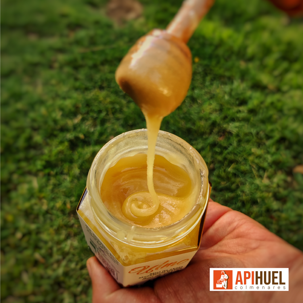 Pack 3 frascos Miel de Ulmo 225 grs